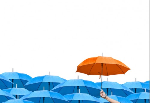 إلى أعضاء LifePoints المذهلين لدينا